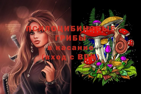 кокс Богородицк
