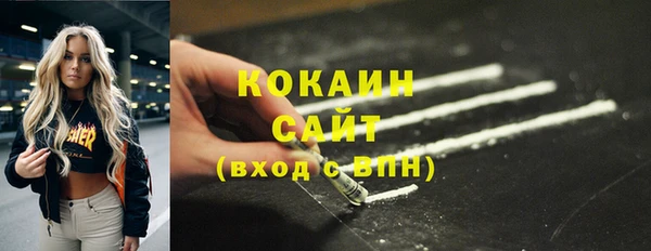 spice Богданович