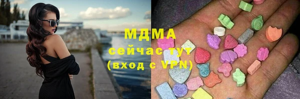 spice Богданович