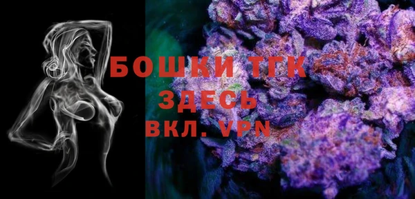 spice Богданович