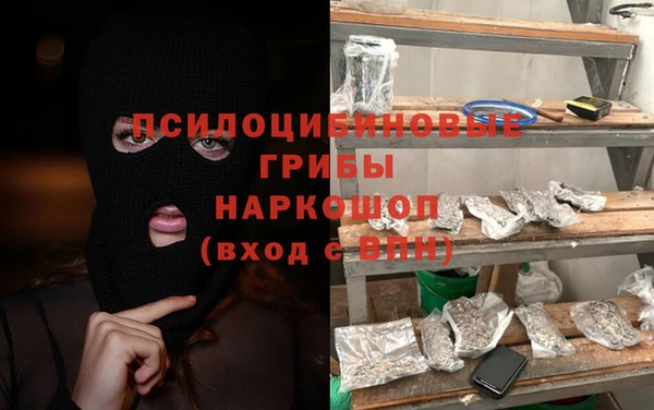 кокс Богородицк