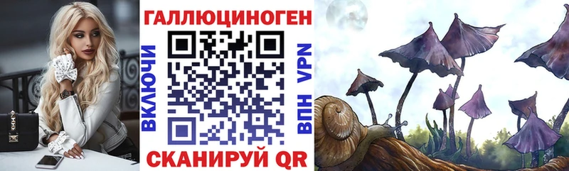 Купить закладки  Горячий Ключ  Псилоцибиновые грибы GOLDEN TEACHER 